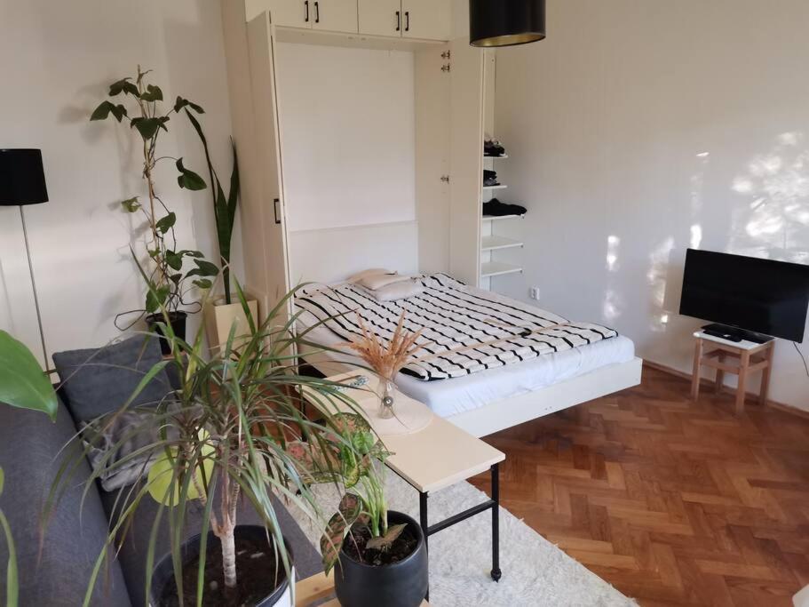 Cozy Studio In The City Centre Near Train Station Bratysława Zewnętrze zdjęcie
